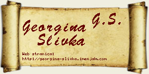 Georgina Slivka vizit kartica